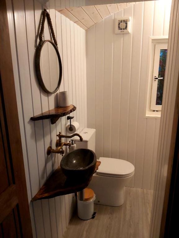 The Feathers Shepherds Hut - View 6
