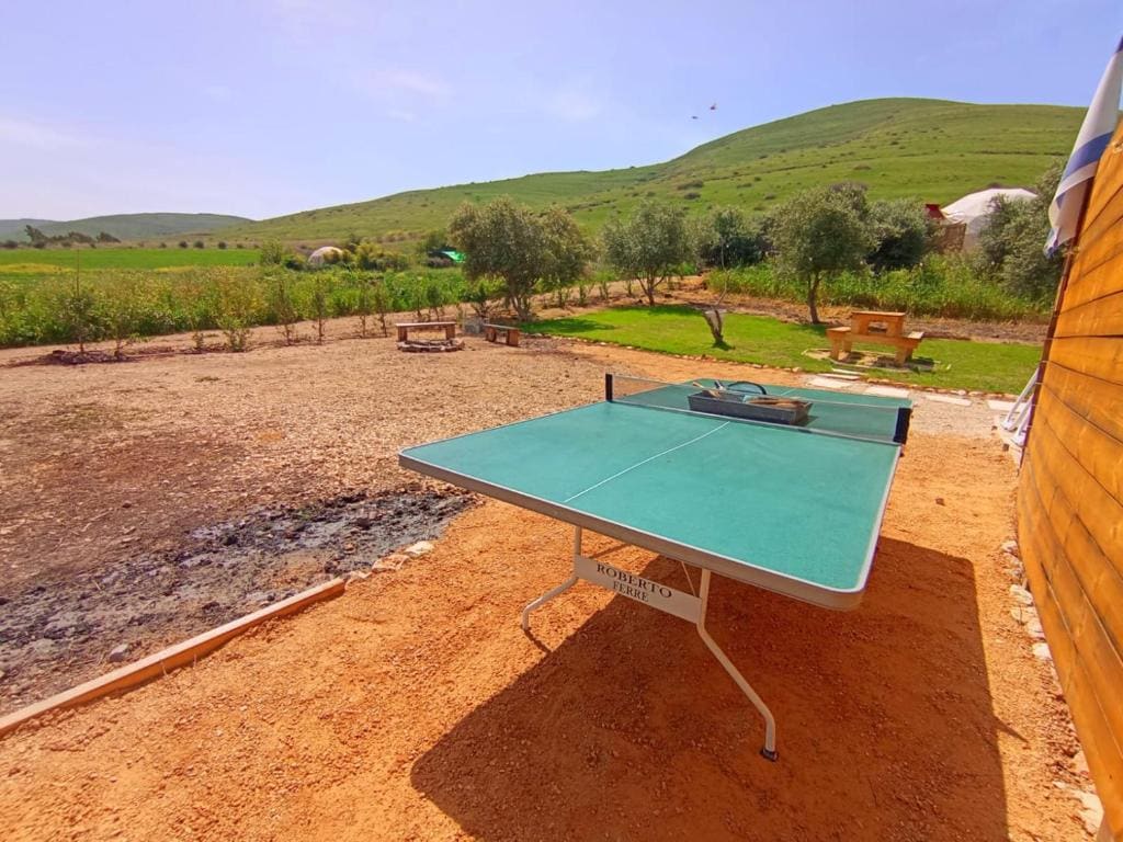 Olive Dome - כיפה גיאודזית ענקית ומודרנית בין עצי הזית - View 7