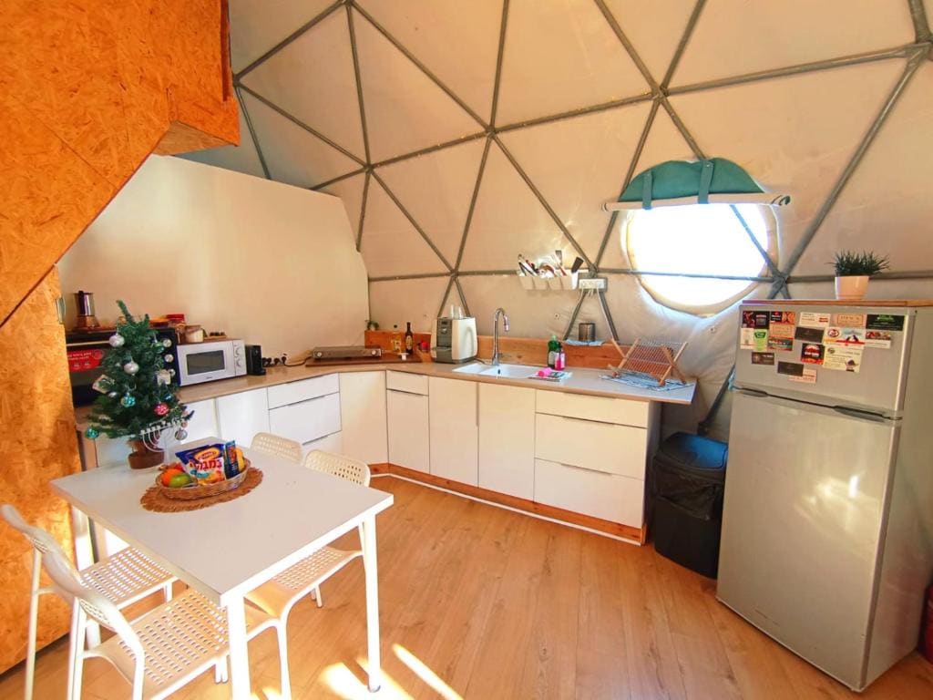 Olive Dome - כיפה גיאודזית ענקית ומודרנית בין עצי הזית - View 6