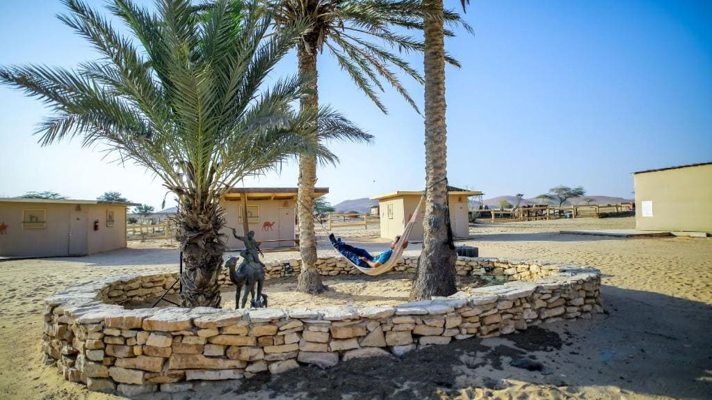 Negev Camel Ranch - View 3