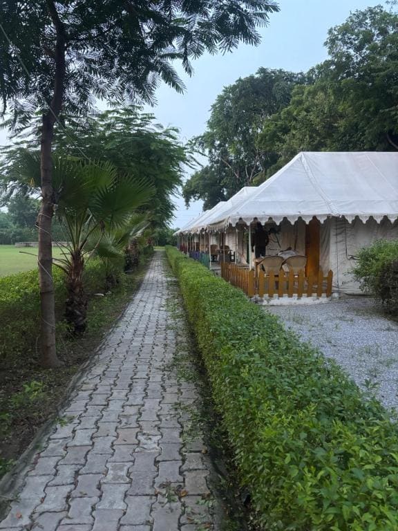 Agra Camps and Resort - View 7