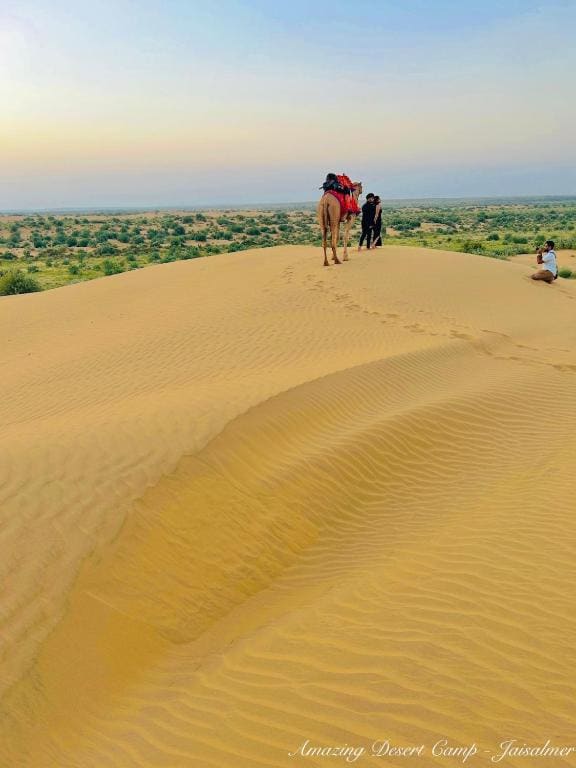 Amazing Desert Camp - View 3