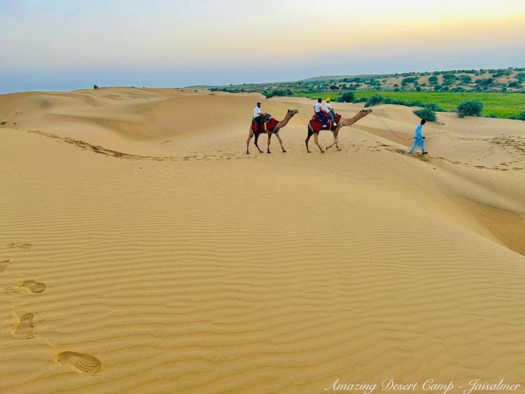 Amazing Desert Camp - View 2