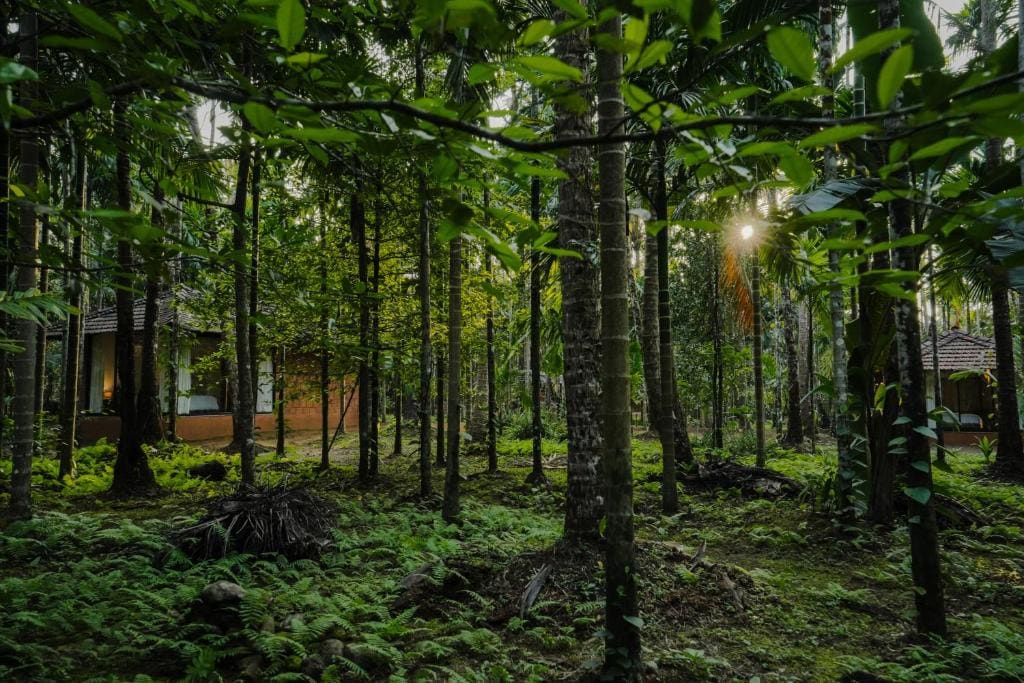 Arika Goa — Vue 5