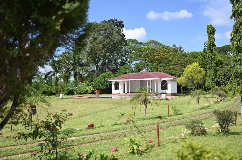 Banyan Grove - View 5
