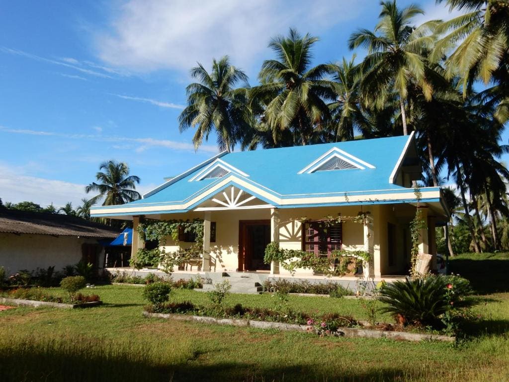 Blue Oasis - Main view