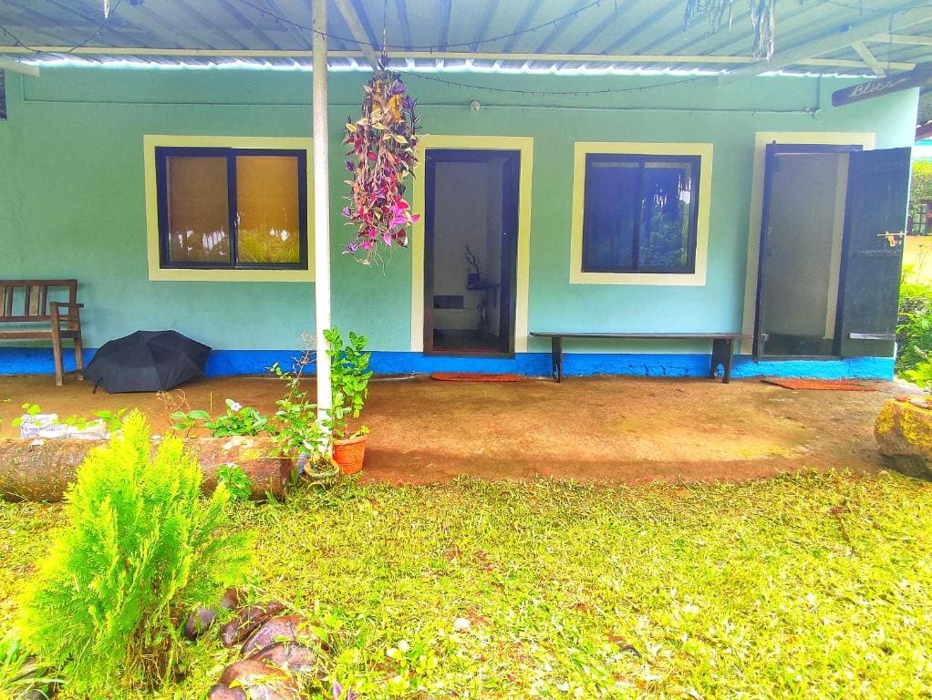 Blue Oasis - View 5