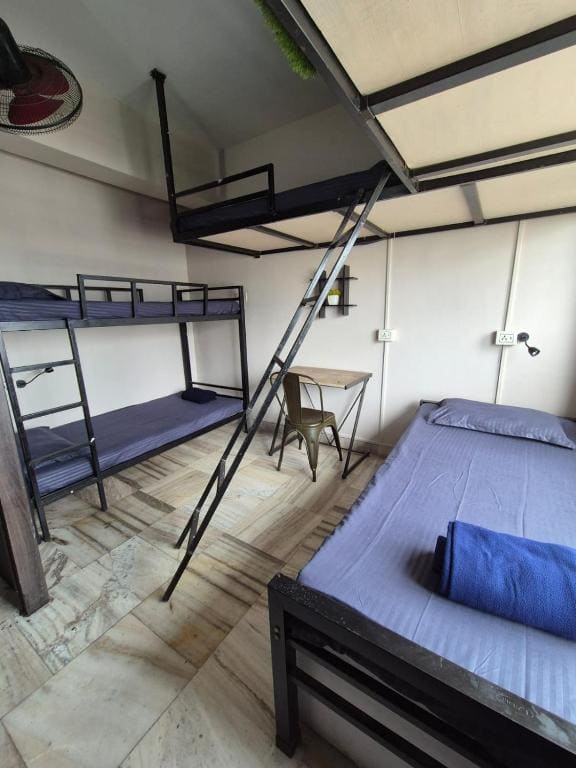 Bohemian Backpackers Kolkata - View 6