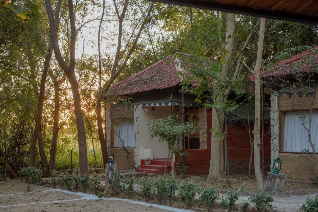 Greetoe Camp Panna - Main view