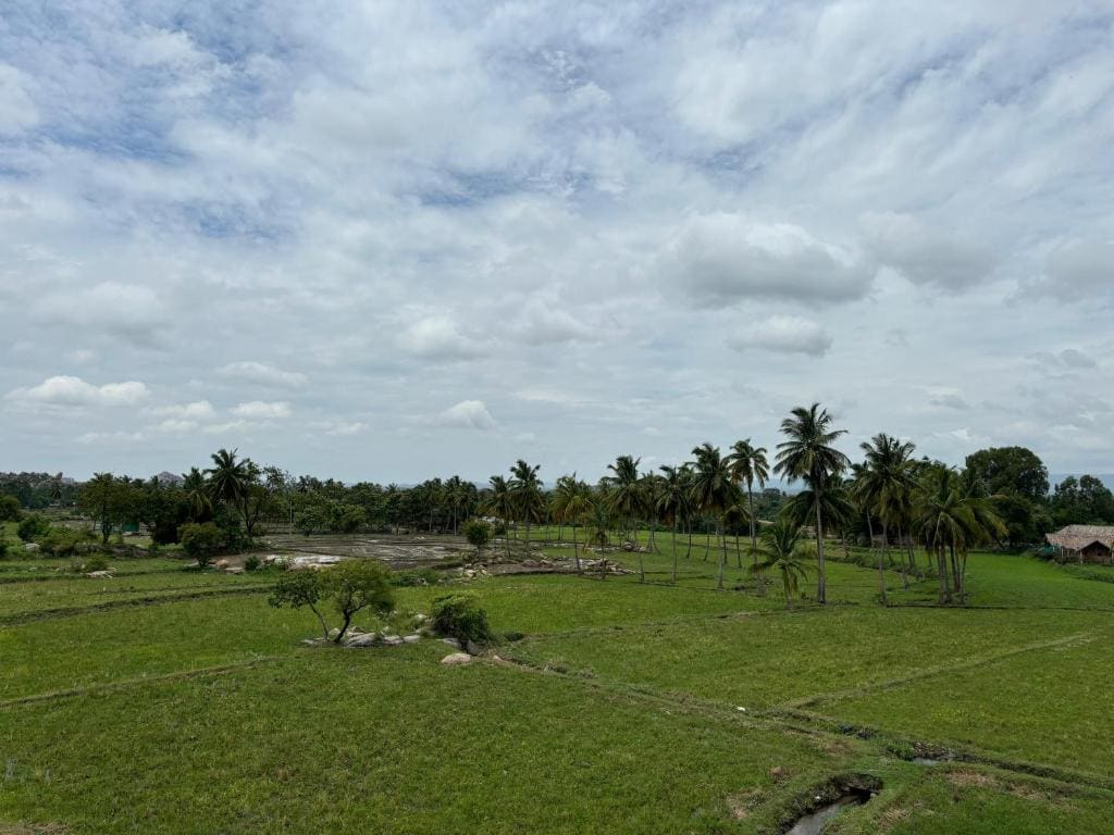Cocogreen Hampi - View 2