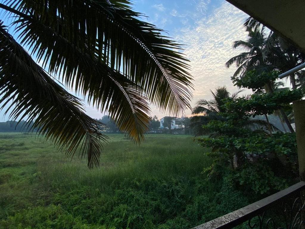 GFV Comforts - View 3