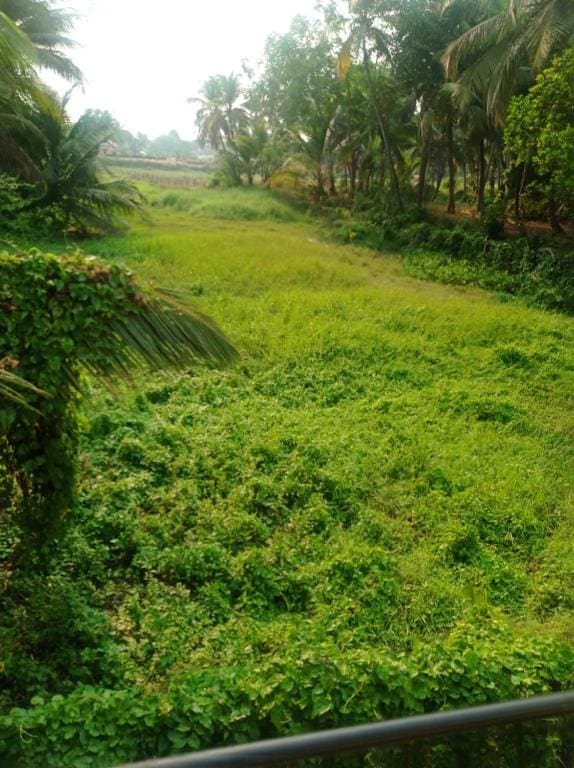 Heaven Goa Guesthouse - View 4
