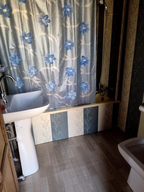 Houseboat Shamshad - View 3