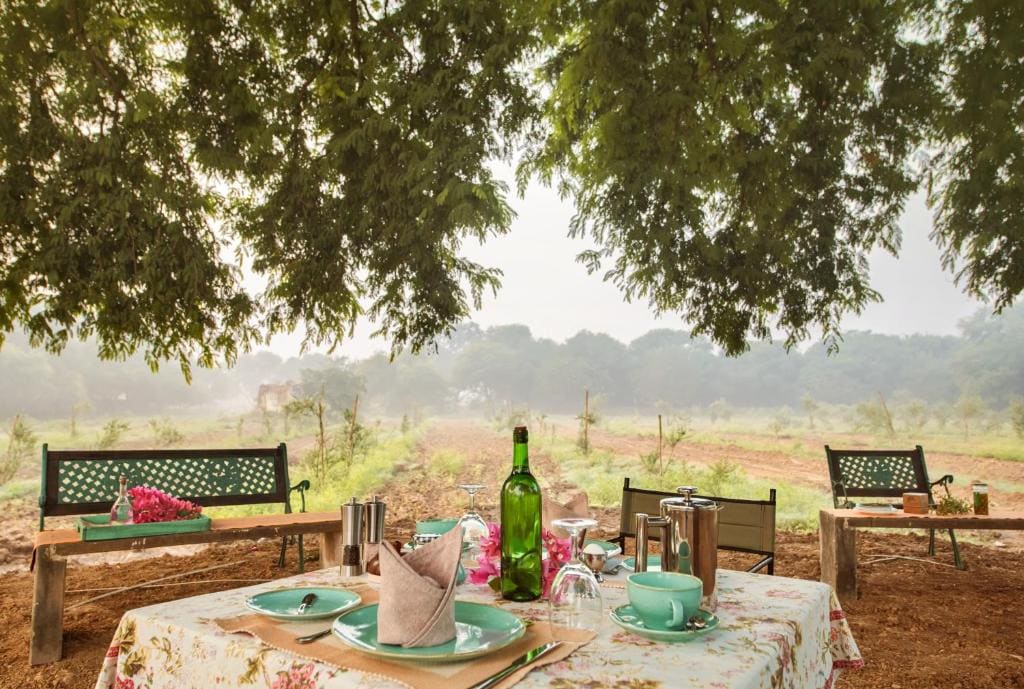 Mela Kothi - The Chambal Safari Lodge - View 2