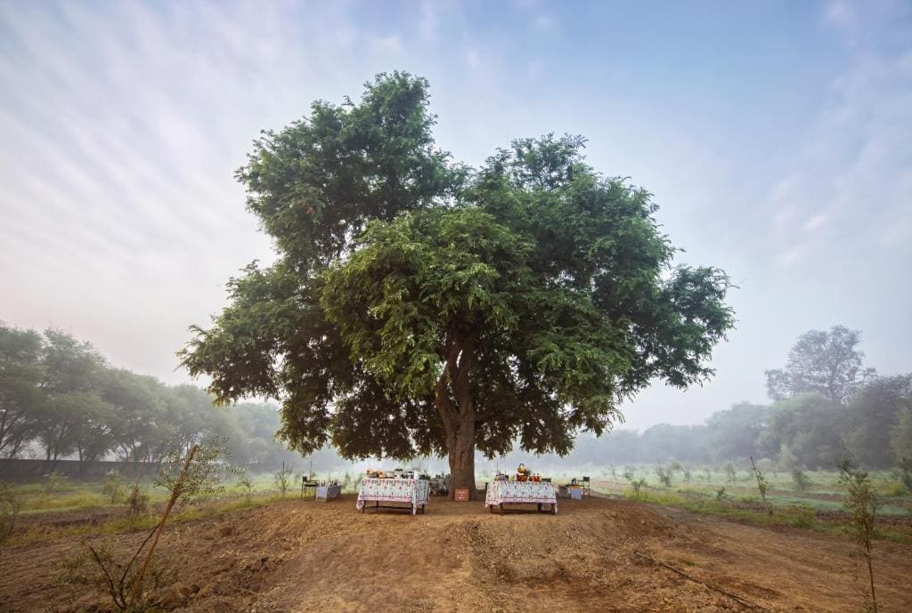 Mela Kothi - The Chambal Safari Lodge - Main view