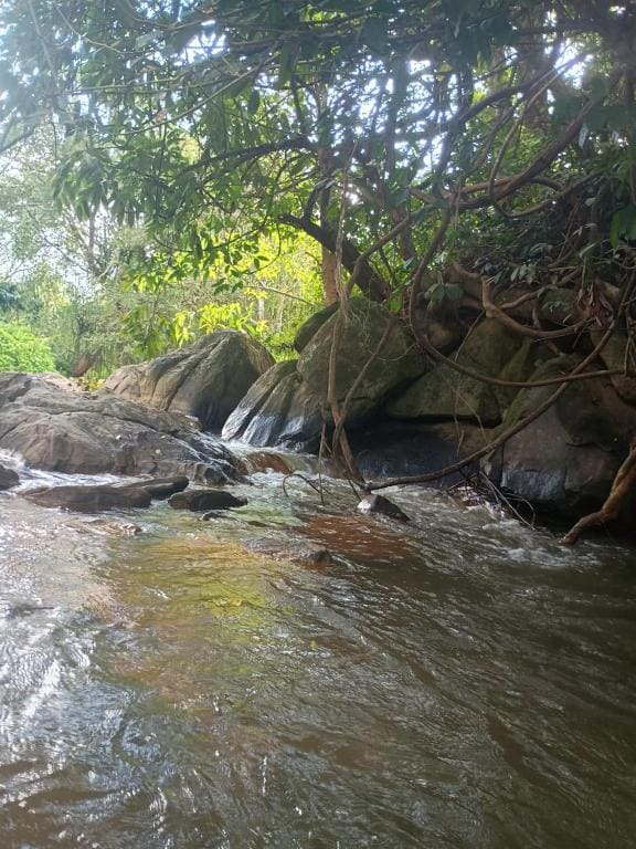 Nature Spot Cottages Coorg — Ansicht 5