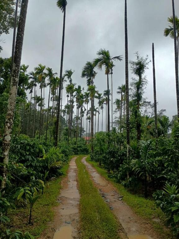 Nature Spot Cottages Coorg — Ansicht 2