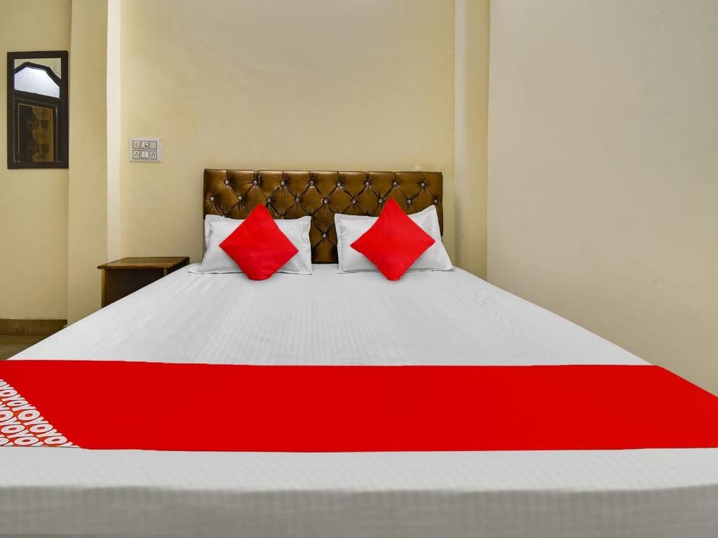 Hotel O Hotel Anand Vihar Palace - View 4