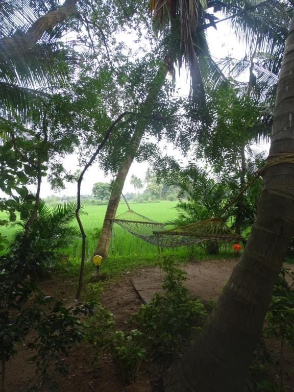 Paddy Homestay - View 7