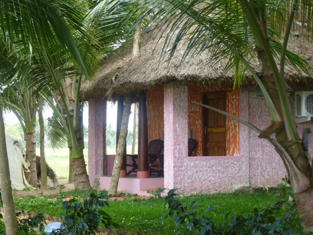 Paddy Homestay - View 4