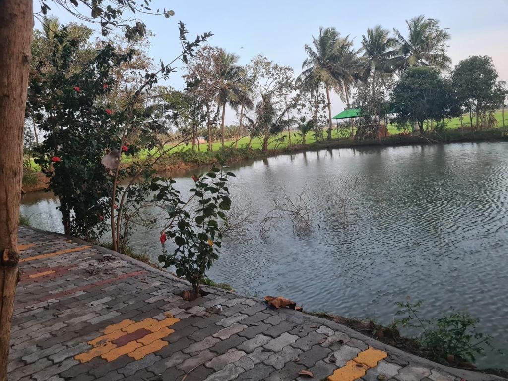 Paddy Homestay - Main view