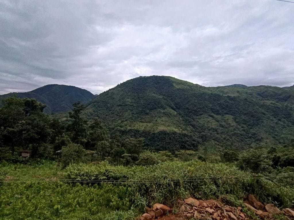 RUBANSi - View 6