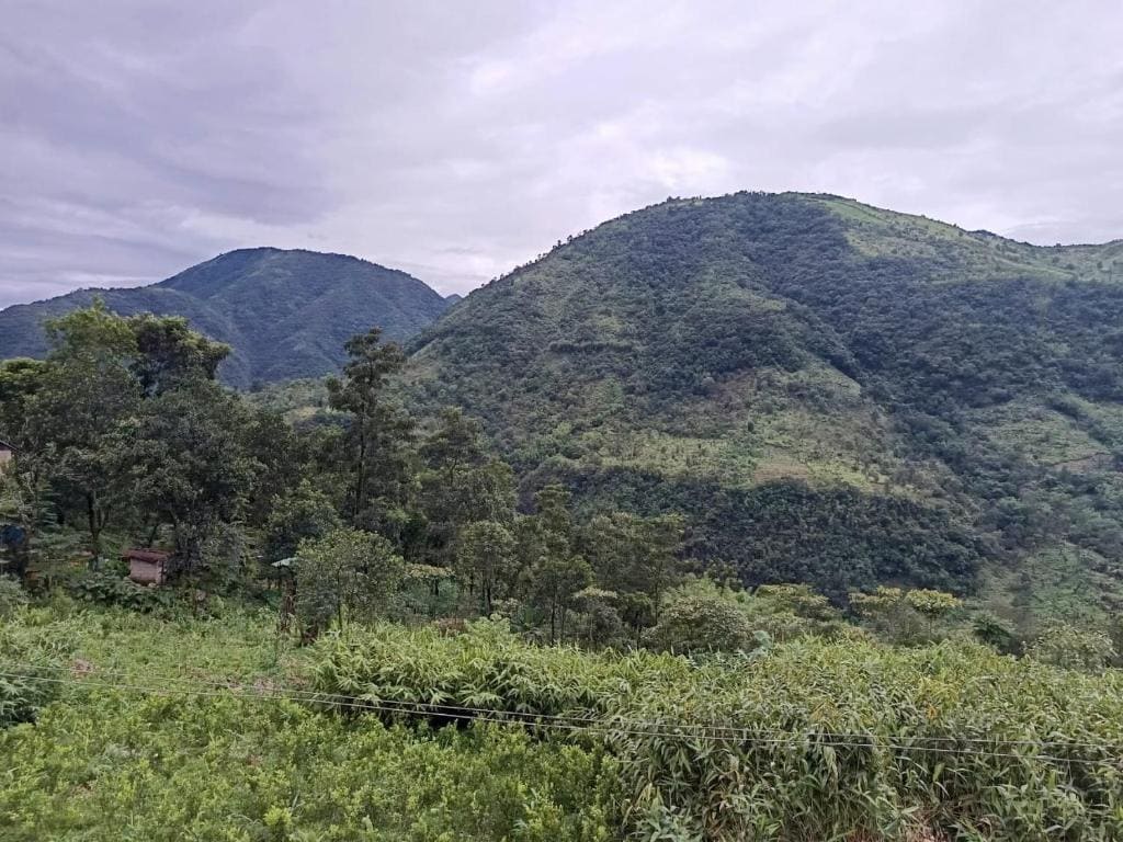 RUBANSi - View 5