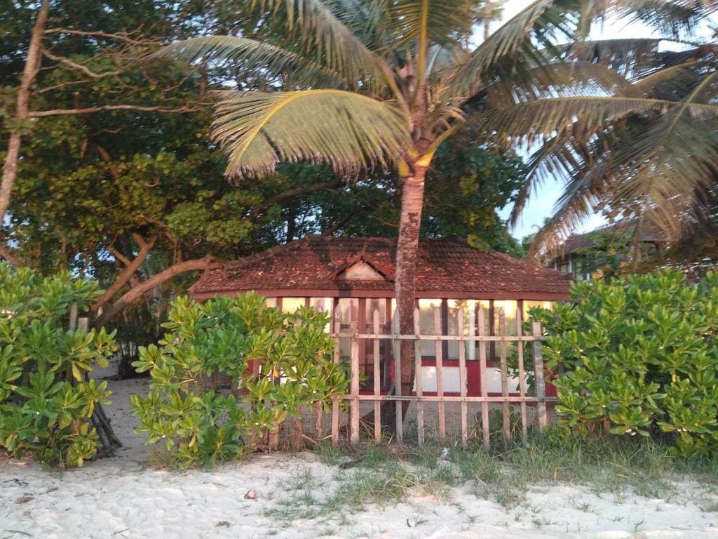 SAMBODHI YOGA RETREAT - View 5