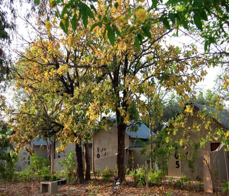 Tathastu Bandhavgarh - Main view