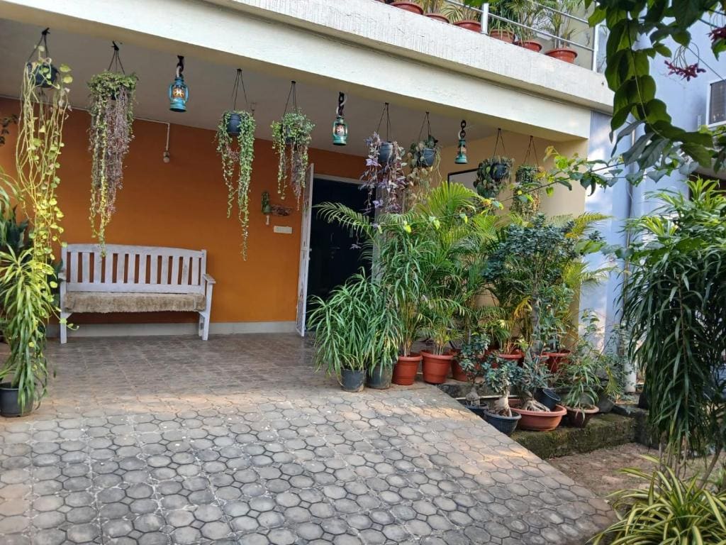 The Basic - व्यू 2