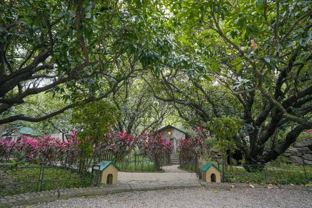 The Den Corbett Resort - عرض 6
