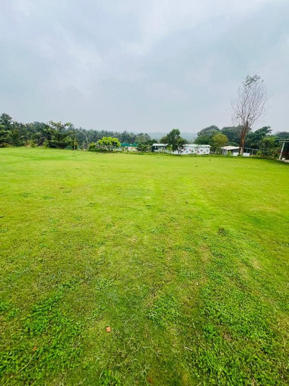 The Fairy Tale Farms - View 5