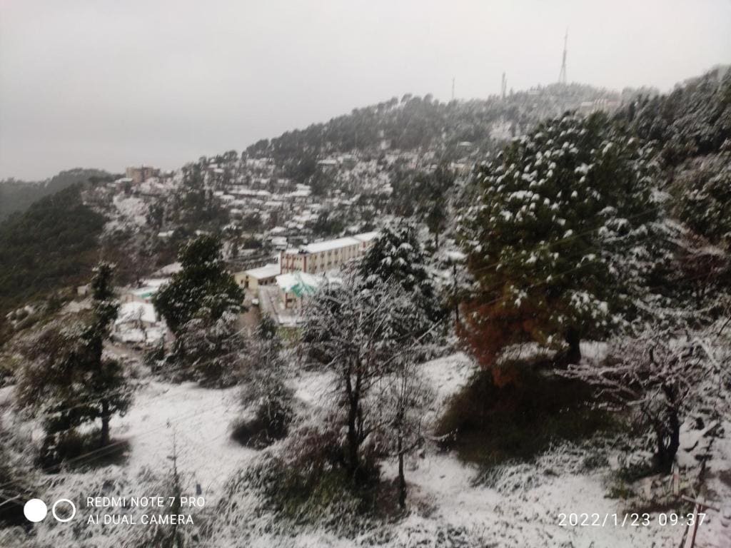 THE HIMALAYAS GUEST HOUSE - Foto 7