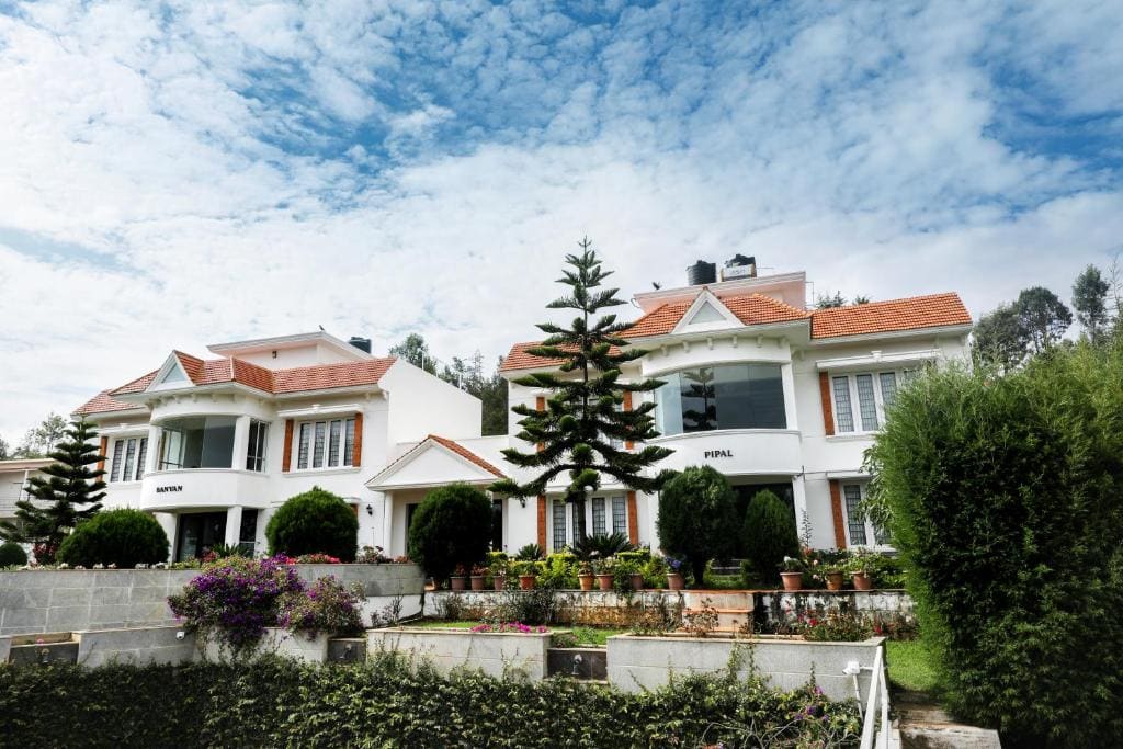 Twin Tree - Main view