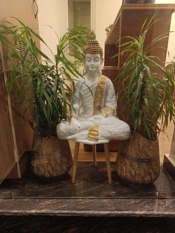 Virasat Haveli - A Heritage Boutique Hotel - View 5