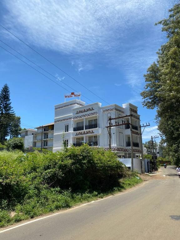 White Mint - View 5
