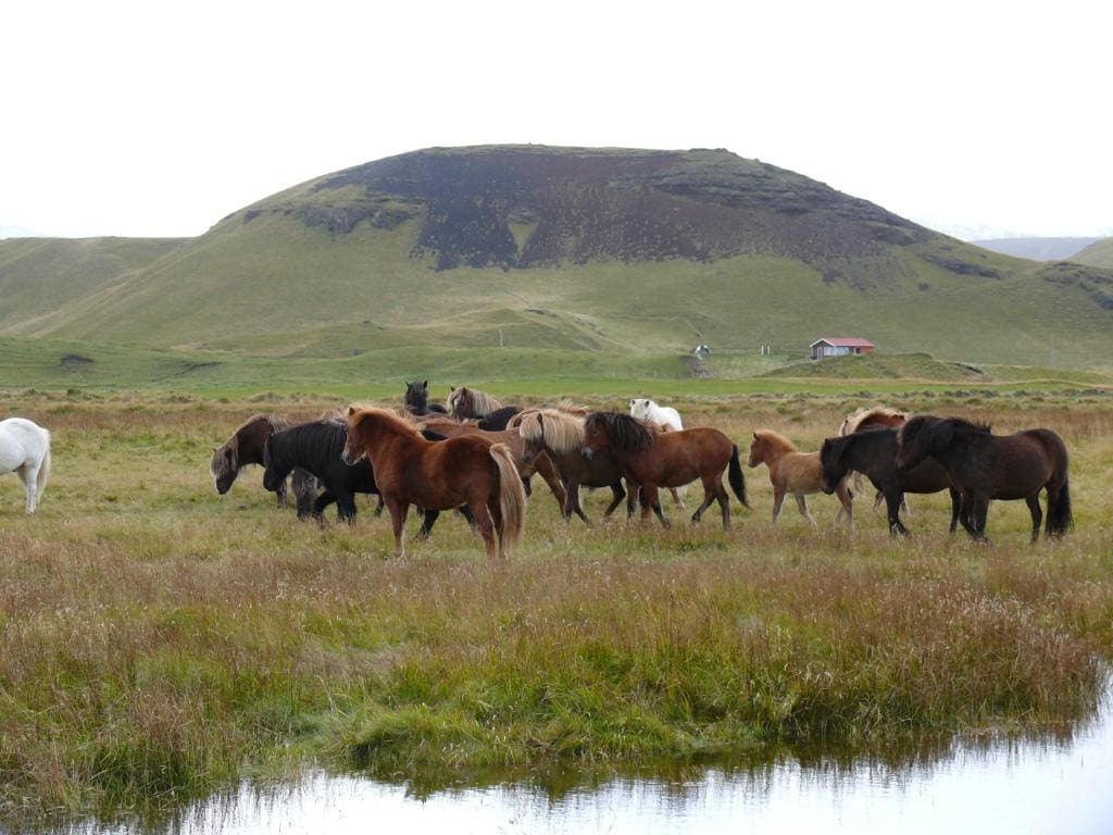 Guesthouse Vellir - View 3