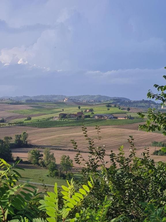 A casa di Bianca - Tampilan utama