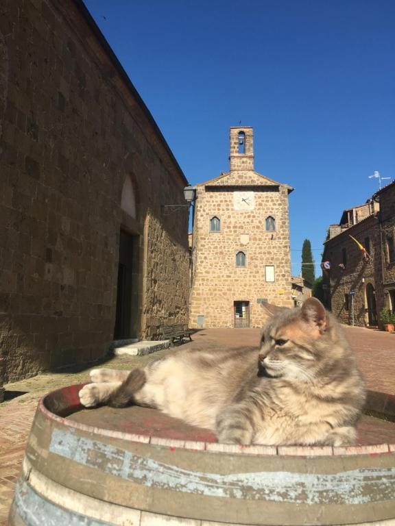 Notti Etrusche a Sovana - View 2