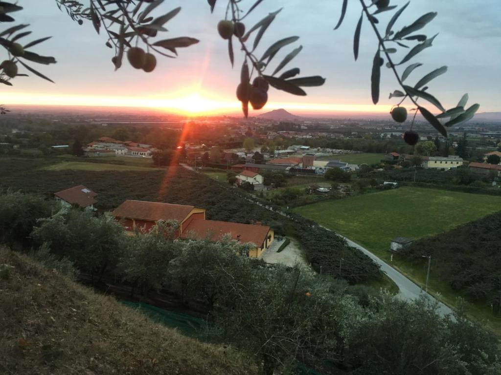 Agrialpi by Salfrutta - View 3