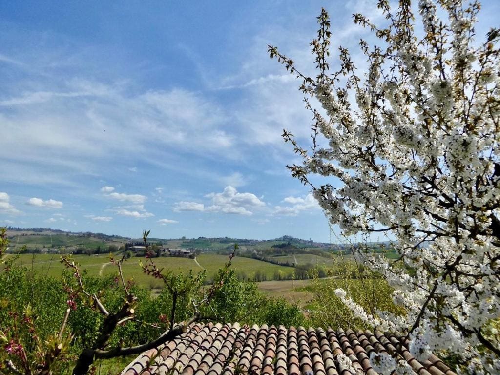Agriturismo bottega di Rosanna - Tampilan 6