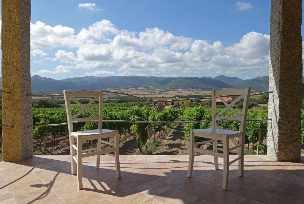 Agriturismo Campesi casale tra le vigne - View 4
