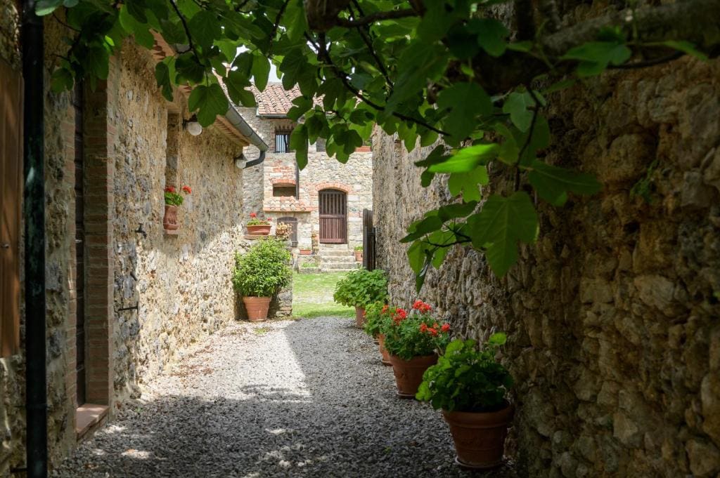 Agriturismo Colli di Travale - Main view