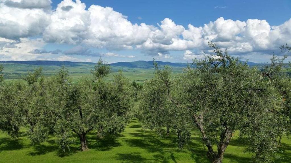Agriturismo Il Granaio della Fonte - Main view