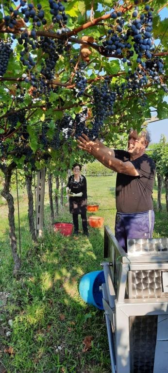 Agriturismo La Rocca - 图片 4