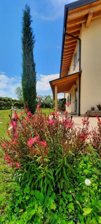 Agriturismo La Rocca - 主图