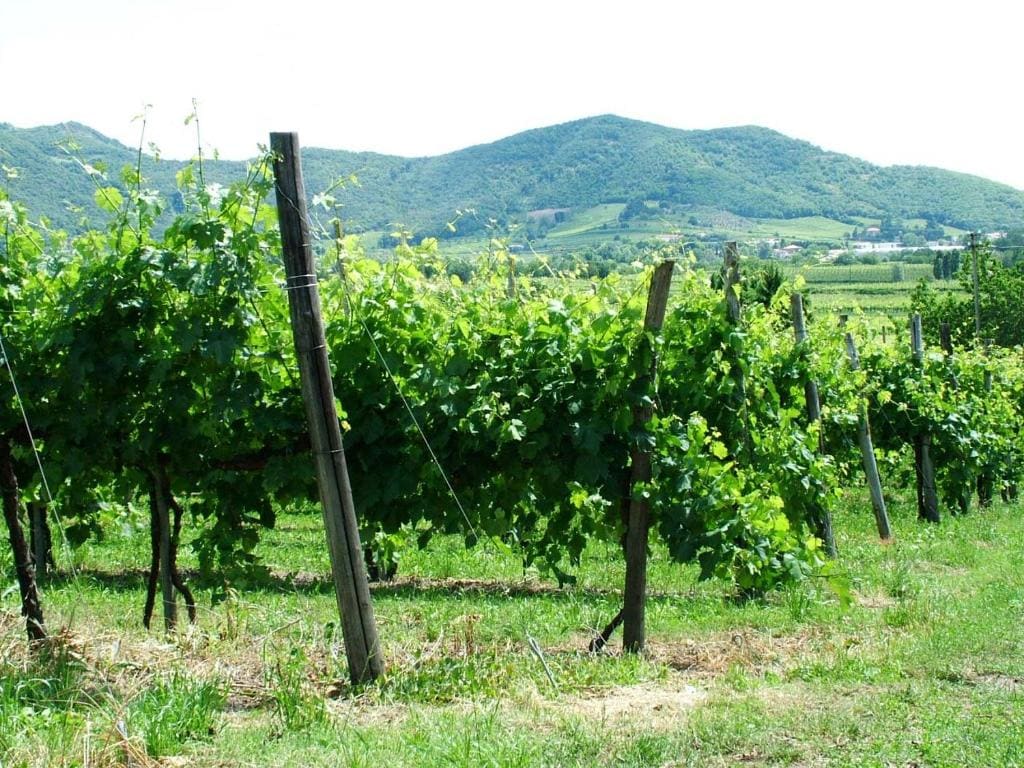 agriturismo la scuderia - العرض الرئيسي
