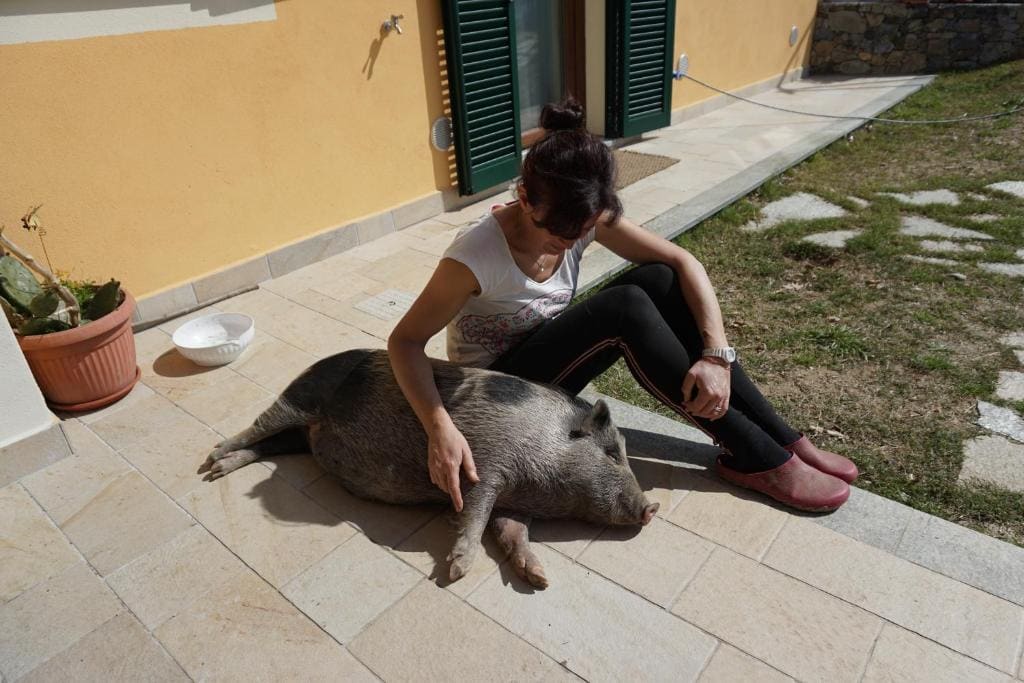 Agriturismo LaValleggia - عرض 4