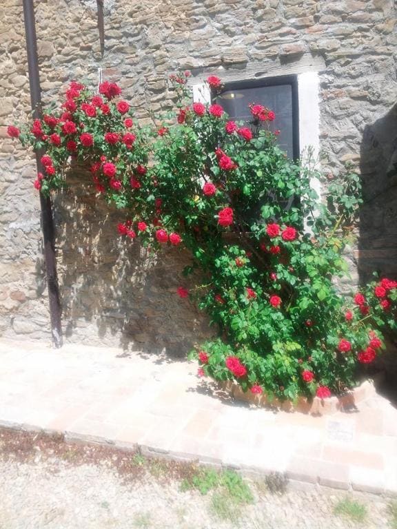 Agriturismo Mirasole - View 3