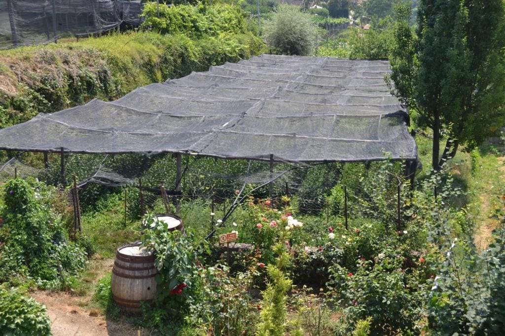 Agriturismo Nonno Tobia - View 2